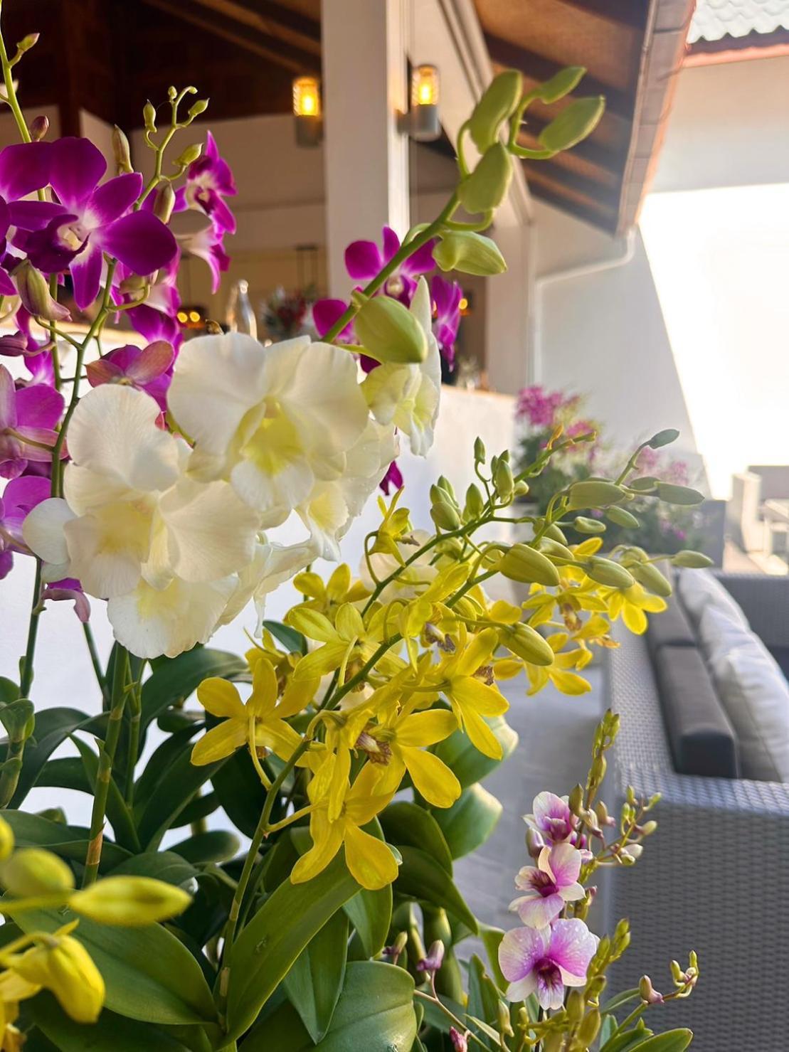 Ocean Pie Phuket - Adult Only Hotel Rawai Luaran gambar